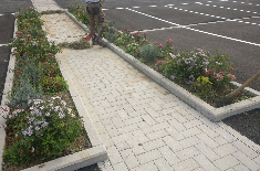 vaste plantenborders in de parking
