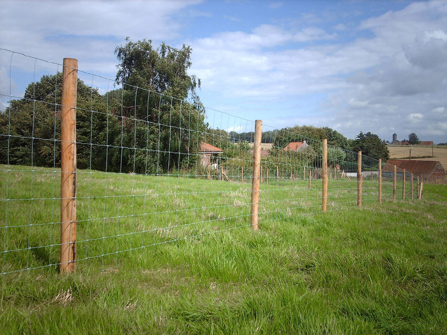 Omheining met schapendraad en palen in kastanje