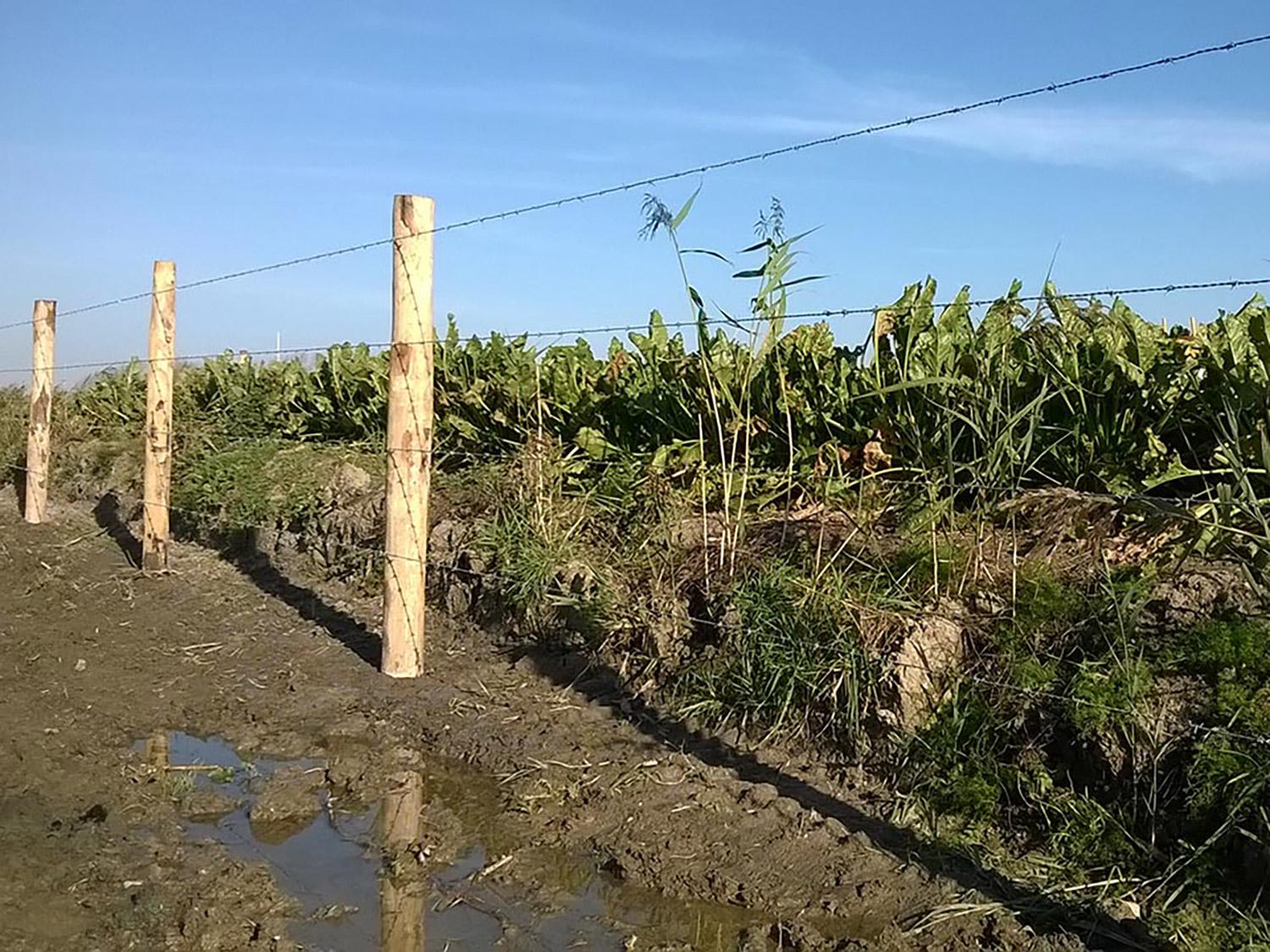 Prikkeldraadomheining is erg geschikt om te gebruiken in natuur- en landbouwgebieden