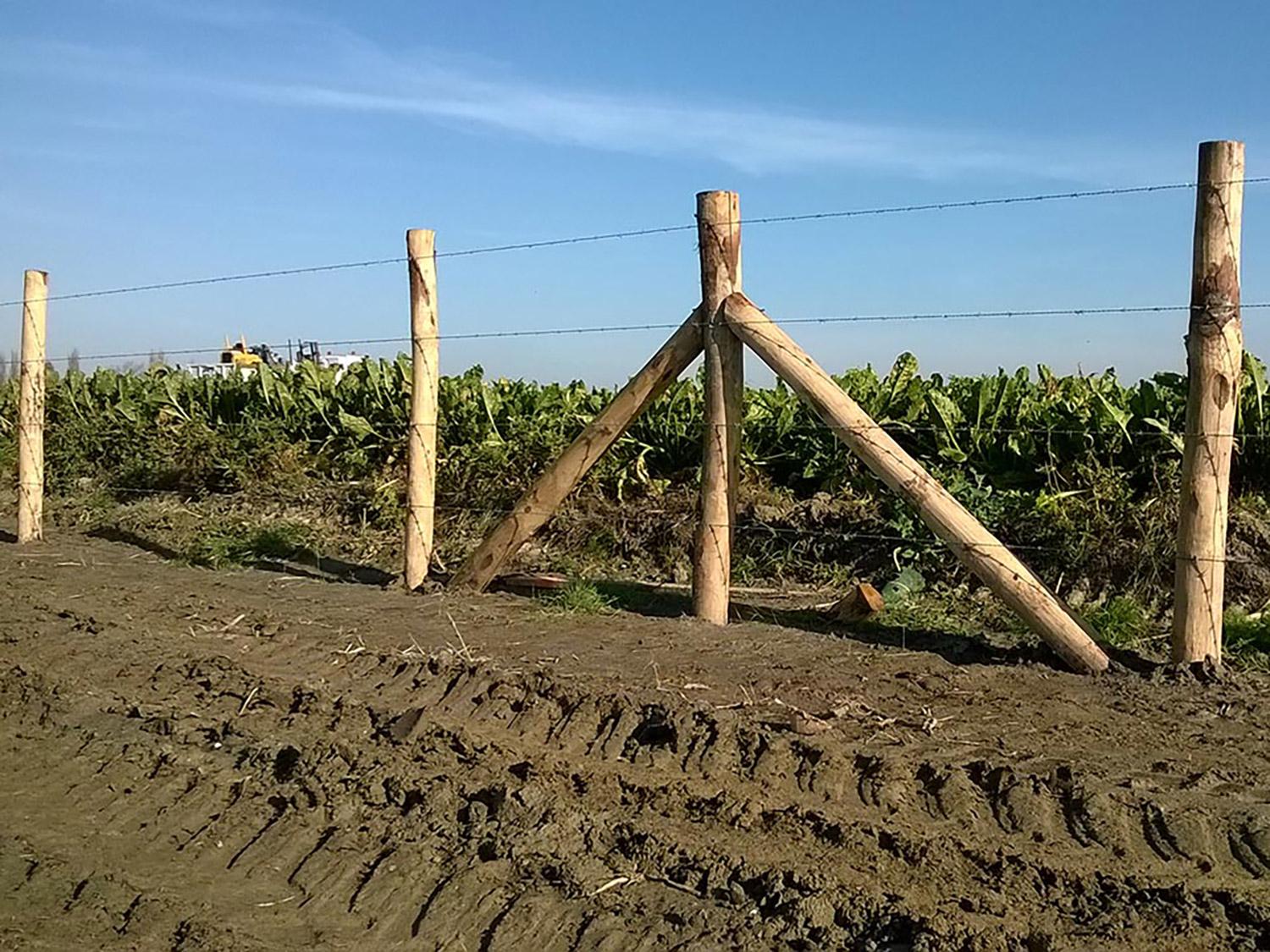 Prikkeldraadomheining is erg geschikt voor landbouwgebieden.