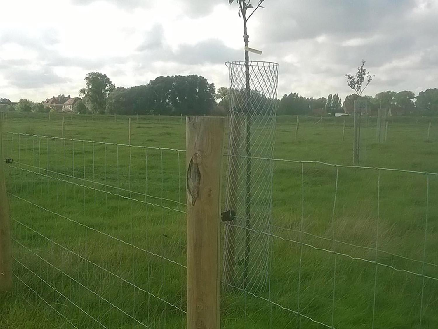 Schrikdraad wordt zodanig aangebracht de het circuit en de poorten steeds onder stroom blijven.