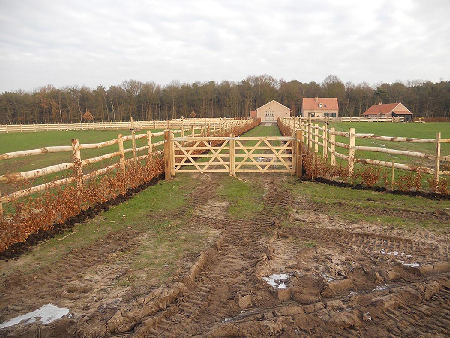 Engelse eikhouten veldpoorten: de perfecte mix van elegantie en duurzaamheid