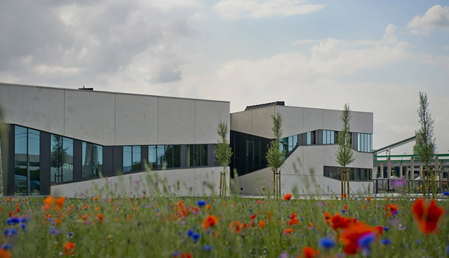 bedrijfsgroen