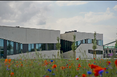 bedrijfsgroen