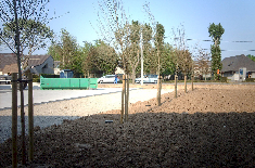 bedrijfsgroen