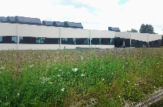 bedrijfsgroen
