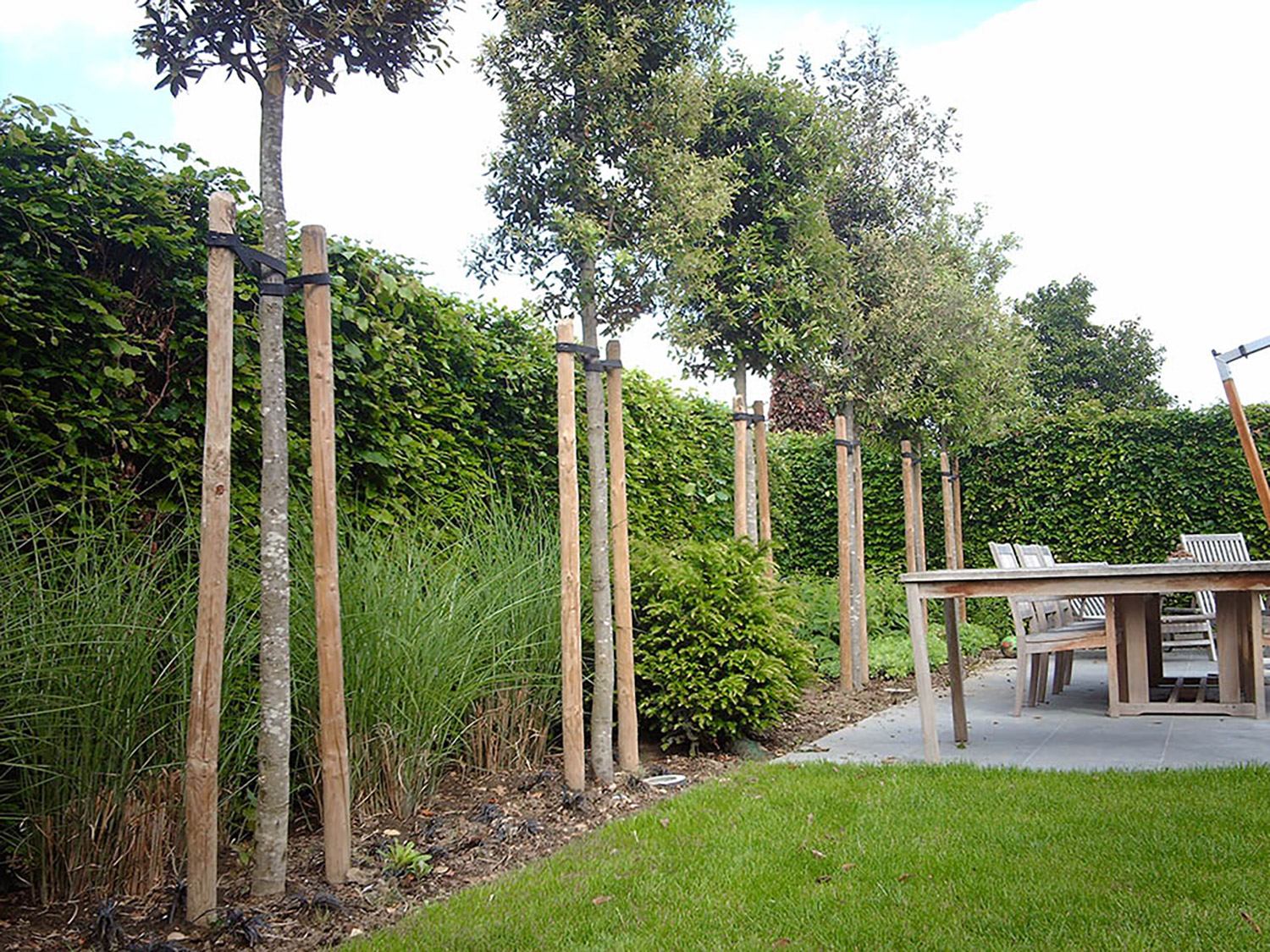 grasberm-zaaien-grondwerk-bomen-planten-keermuur-oeverversterking-bodembedekkers-gras-maaien-nivelleren-grond-tuin-pist