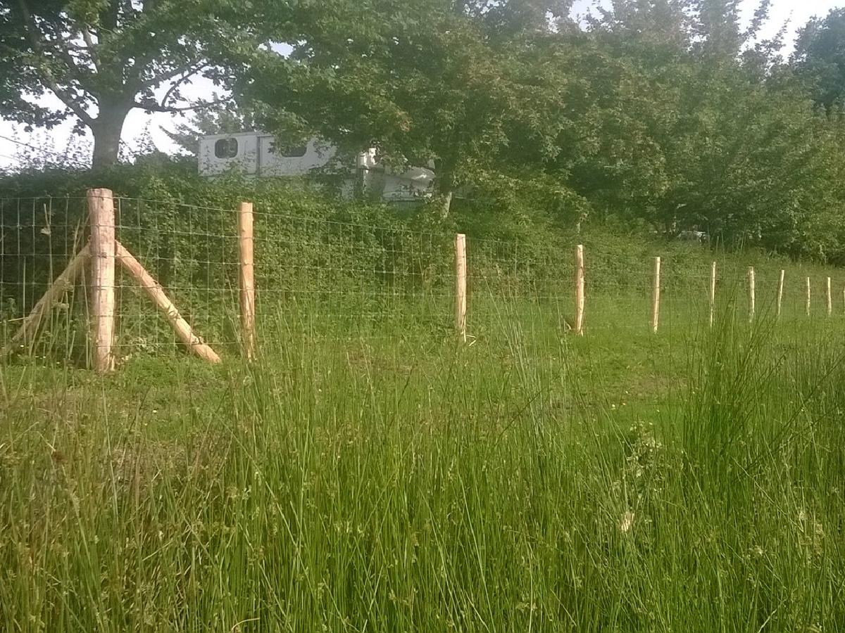 Schapendraad omheining met robinia palen