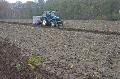 Aanplanten bomen