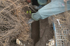 zicht in de plantmachine