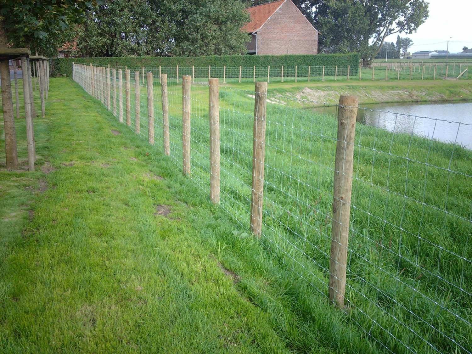 Schrikdraad voor schapen - Schrikdraad Online